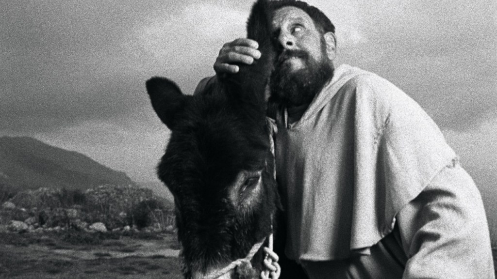 UN FILM FATTO PER BENE: delirio a&nbsp;Venezia