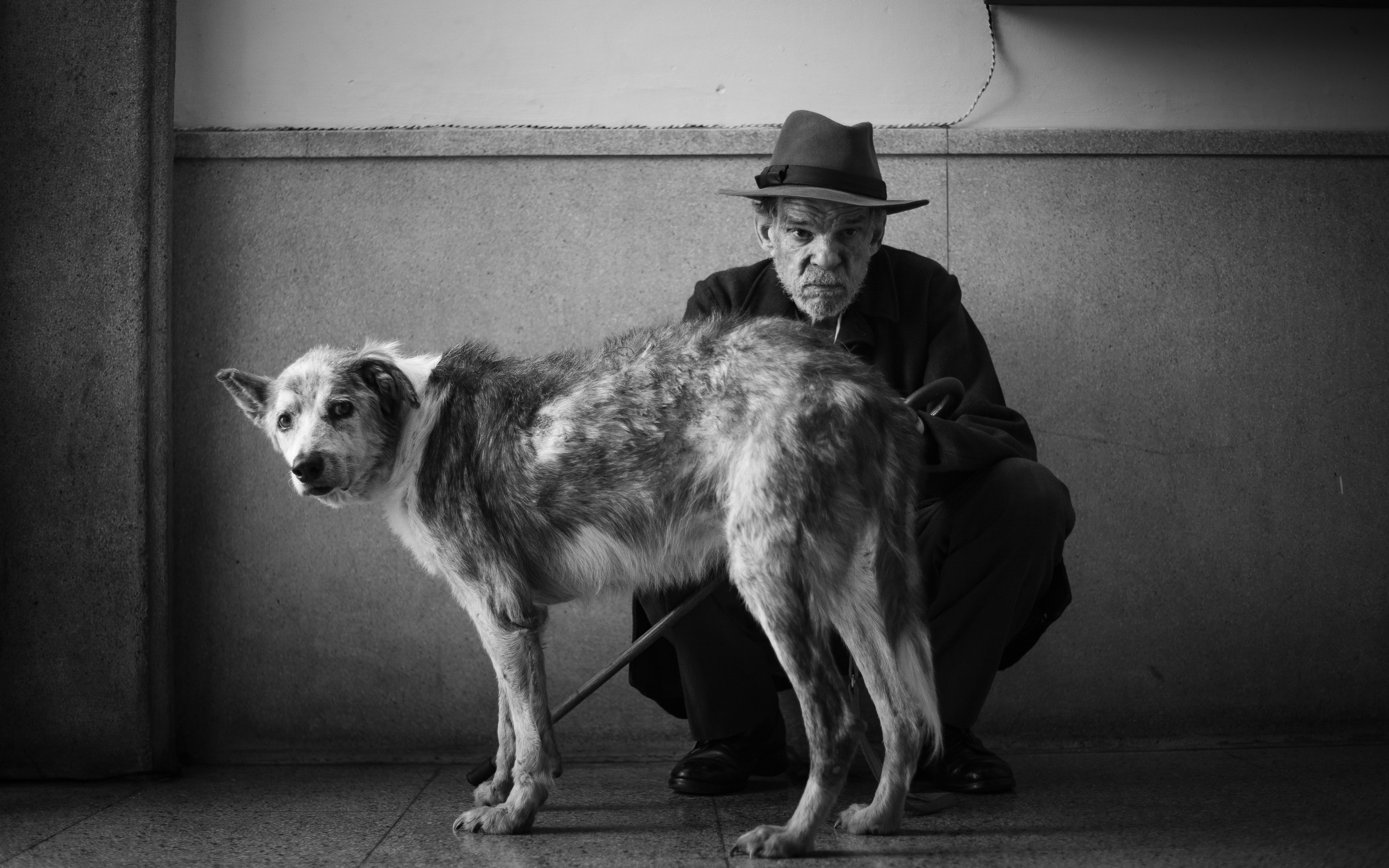 lo straniero, françois ozon